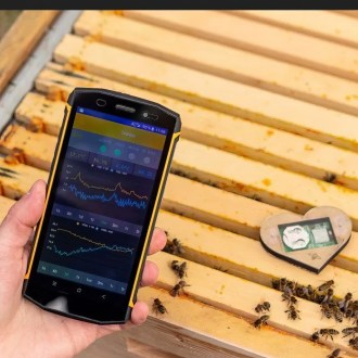 Bienenstock Sensor Bee Heart